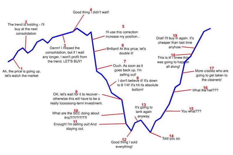 the stock market emotional roller coaster