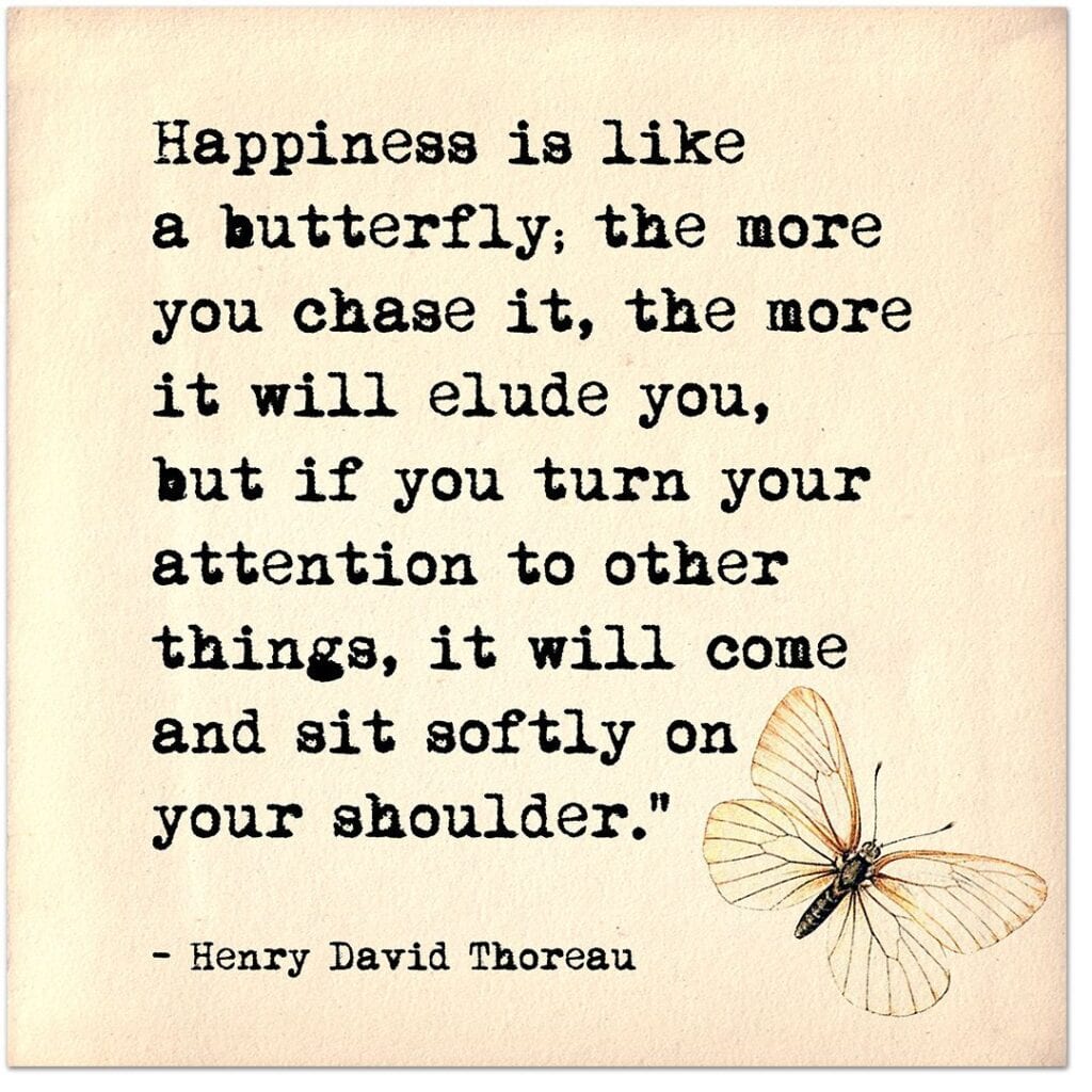 happiness and FIRE like butterfly